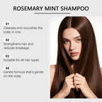 LucenWave Rosemary Scalp Balance Shampoo & Conditioner Set