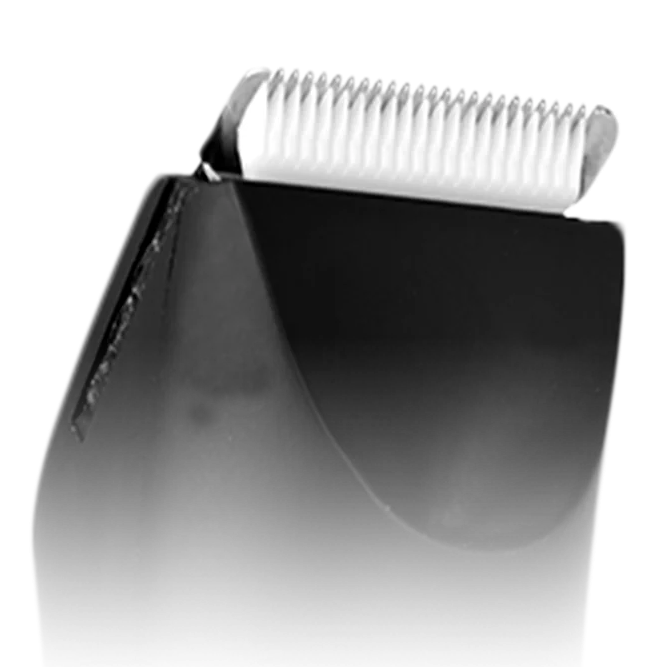 A Heavenly Shave
